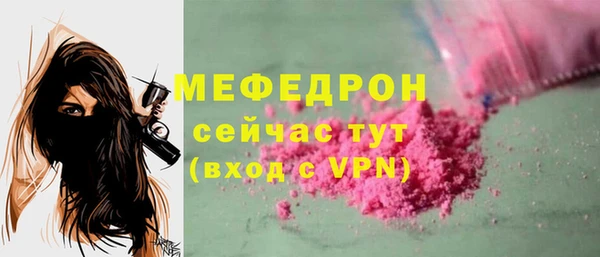 гидра Богородск