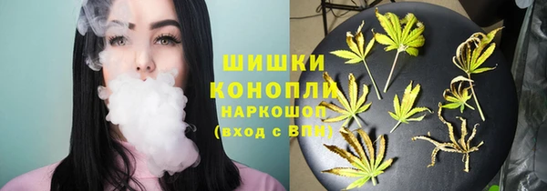 mix Богородицк