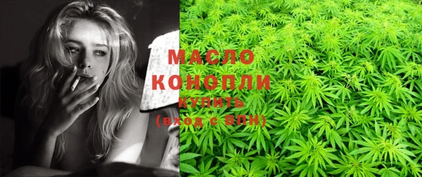 mix Богородицк