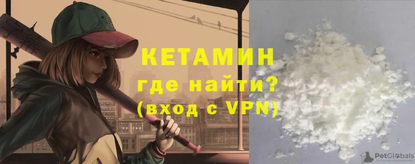 гидра Богородск