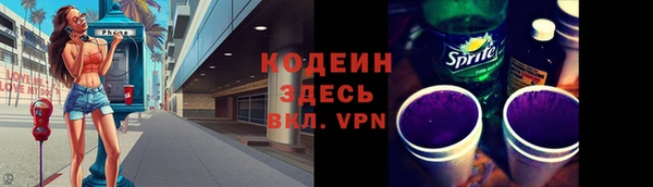 гидра Богородск