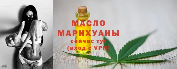 гидра Богородск