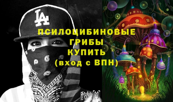 бошки Беломорск