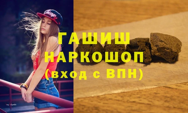 гидра Богородск