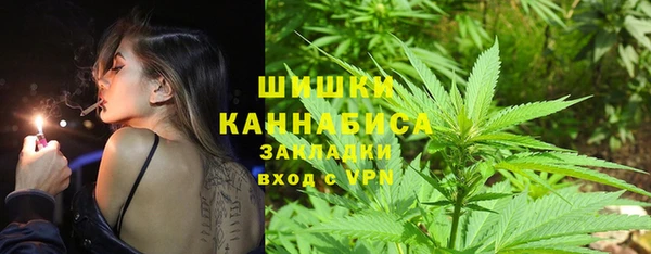 mix Богородицк