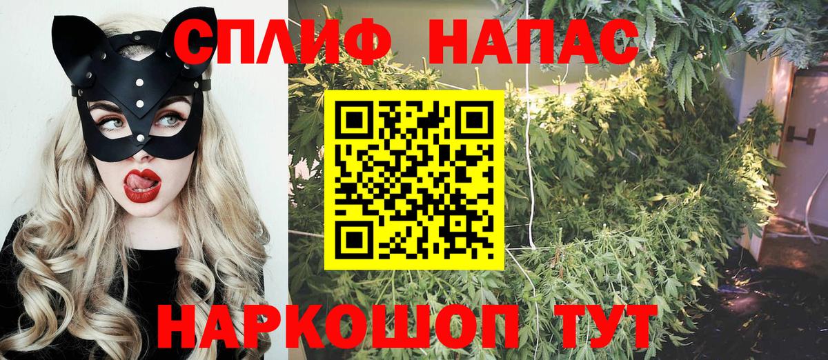 Конопля семена  Конопля план  Бошки Шишки MAZAR  Вход с VPN  Конопля White Widow  Кушва 